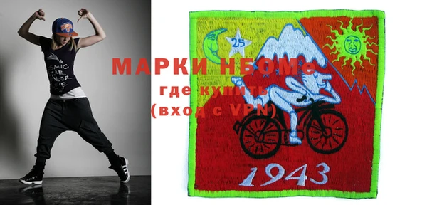 прущий лед Бородино