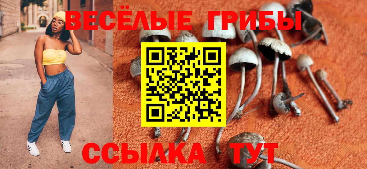 Рыбинск  Псилоцибиновые грибы MAGIC MUSHROOMS  Вход с VPN 
